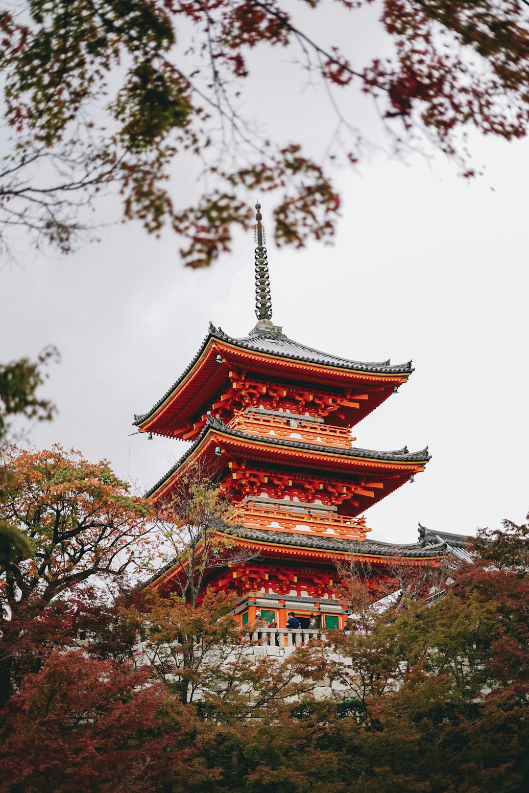 Kiyomizu Deru on November.